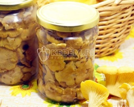 Лисички
