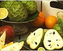 Черимойя – плодовое растение рода Annona